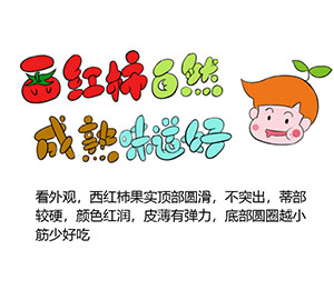 如何選購西紅柿？